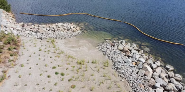 Local groups say new funding will help promote living shorelines in N.S.