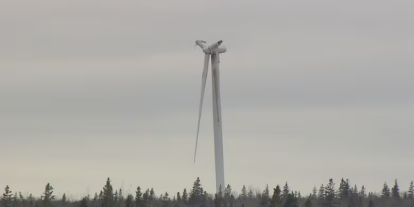 P.E.I. wind turbines at ‘high risk of imminent failure,’ consultant warned province in 2022