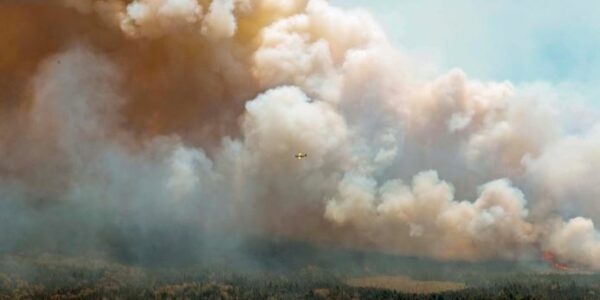 Man, 22, charged in connection with largest wildfire in N.S. history