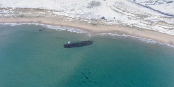 A ghostly shipwreck has emerged in Newfoundland, and residents want to know its story