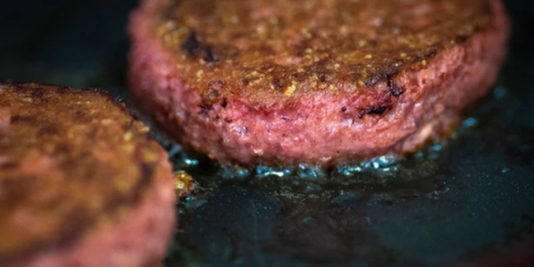 Plant-based meat sales fall ‘significantly’ for second year in a row