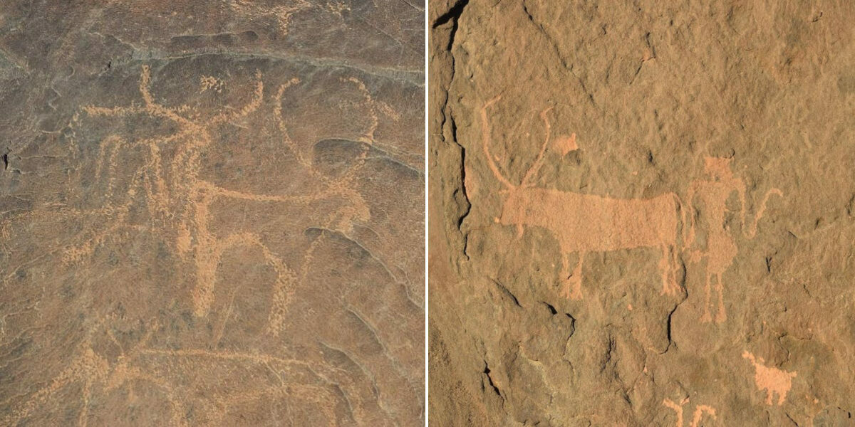 New rock art discoveries in Eastern Sudan tell a tale of ancient cattle, the ‘green Sahara’ and climate catastrophe