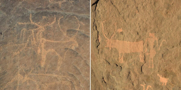 New rock art discoveries in Eastern Sudan tell a tale of ancient cattle, the ‘green Sahara’ and climate catastrophe