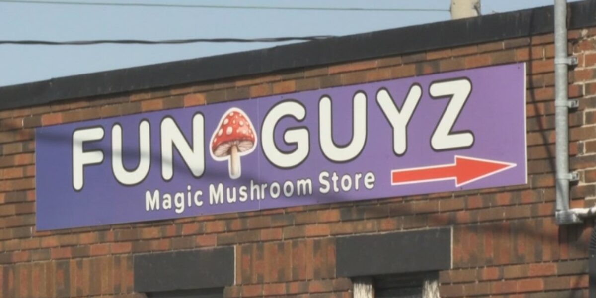 Magic mushroom shops in Kitchener and Cambridge raided – again