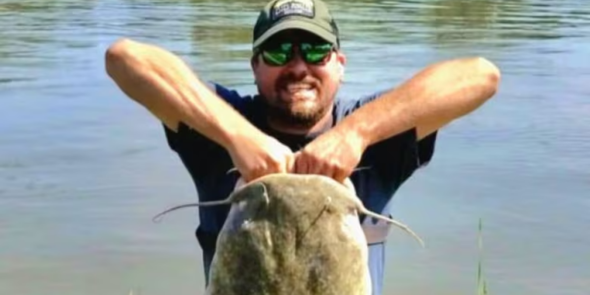 This voracious U.S. catfish species is now in Ontario, possibly due to climate change