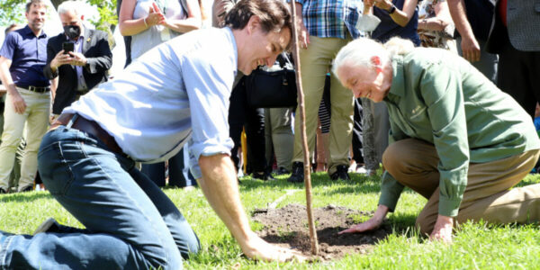 Trudeau’s 2B tree planting plan was fake