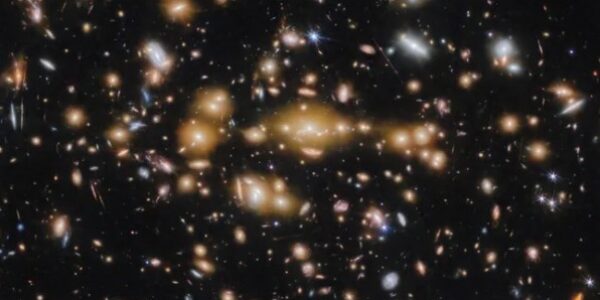 ‘The early universe is nothing like we expected’: James Webb telescope reveals ‘new understanding’ of how galaxies formed at cosmic dawn