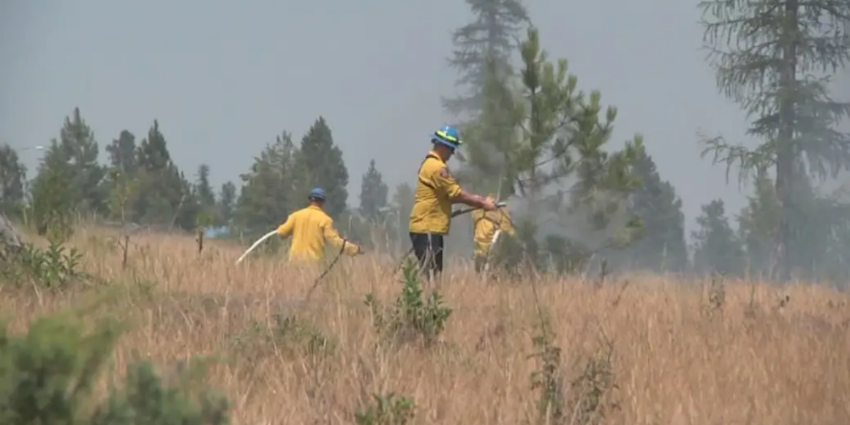 Canada’s wildfire season close to 10-year average heading into the peak summer months