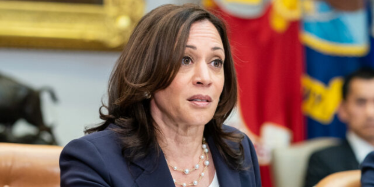 Washington Post Editorial Board Roasts Kamala Harris for Economic Plan