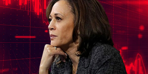 Exclusive – Head of Global Investment Firm: Kamala Harris an ‘Economic Illiterate,’ Will Crash Economy