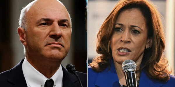 Kevin O’Leary: Kamala’s ‘Ministry of Pricing’ Is ‘Not America’