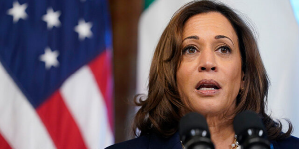 Nolte: Kamala Closes an Already Disastrous Week by Trashing Gold Star Families