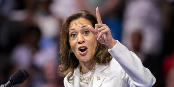 Kamala Harris Campaign Promises: More Migration, Amnesty, and Bidenomics