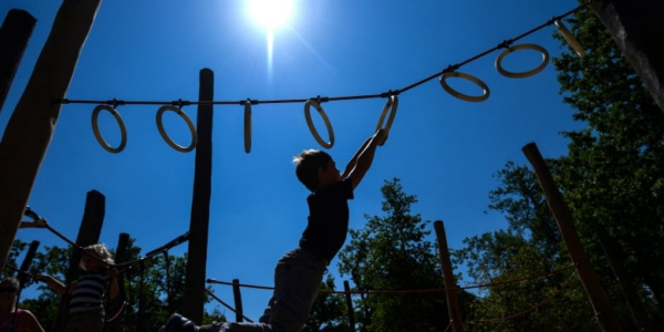 Are playgrounds too safe? Why anthropologists say kids need to monkey around