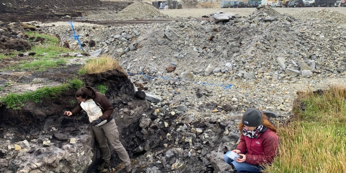 Scientists discover hidden ancient forest on treeless island