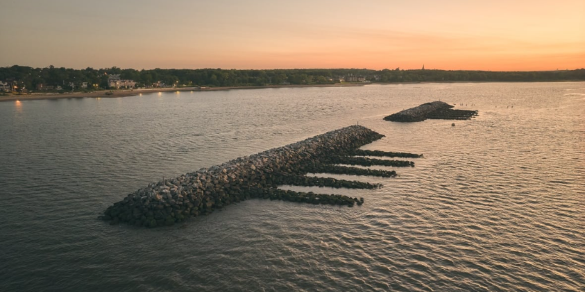 How millions of oysters could protect coastlines against climate change