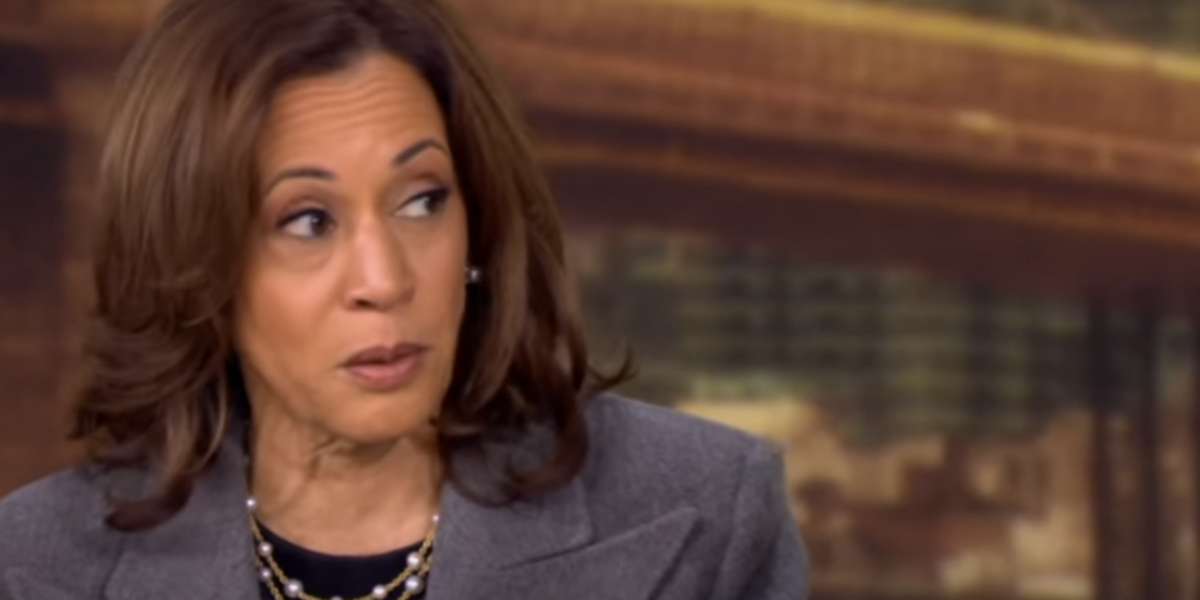 Kamala Warned Israel Not to Enter Area Where Hamas Leader Was Found