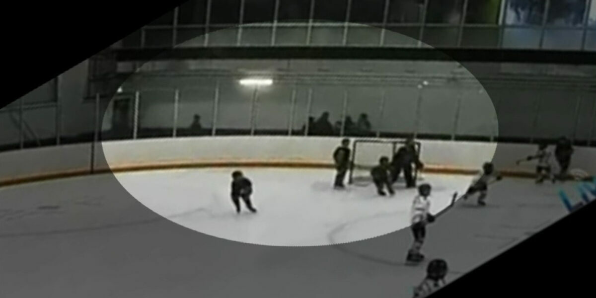 Kids’ hockey game halted as parents brawl in the stands