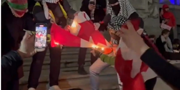 Michael Higgins: Trudeau fiddles as Canadian flags burn