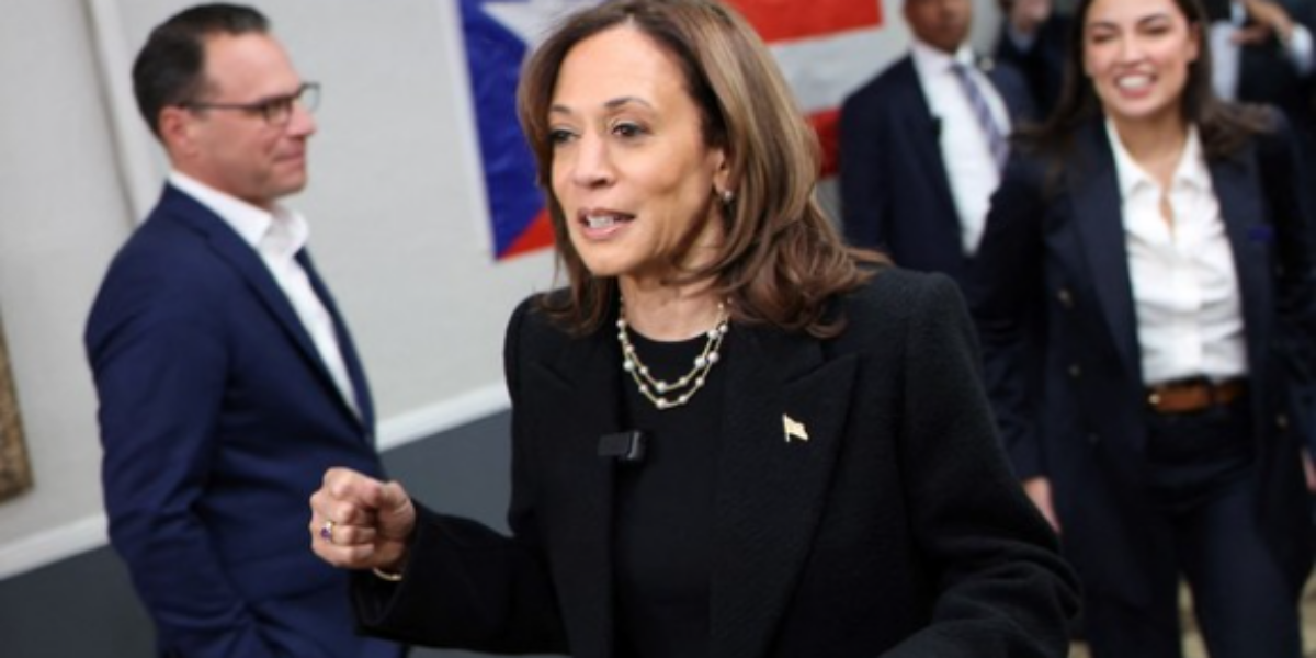 Amy Hamm: Kamala Harris would be an American disaster