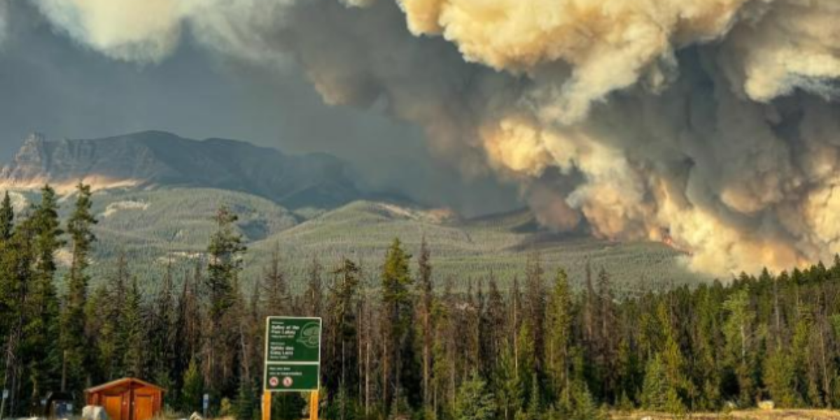 Parks Canada denies existence of warnings about Jasper wildfire, despite mounting evidence