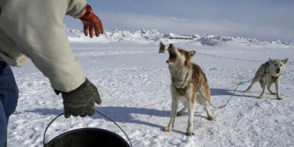 Who controls Greenland, and why does Trump want to buy it?