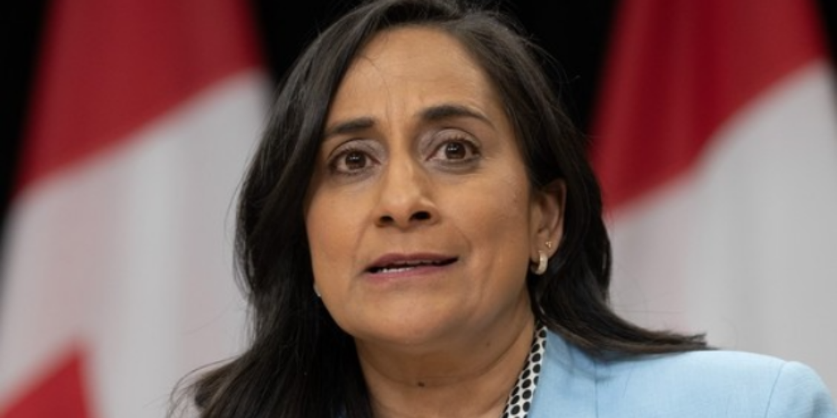 Liberal minister Anita Anand says she will not run for party leadership or re-election