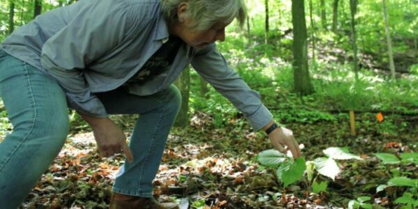 Canada’s cemeteries ‘are in a crisis.’ Green burials can help solve it, Ontario group says