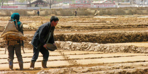 Communism’s crappy legacy: North Koreans resort to poop theft to meet ‘fertilizer’ quotas