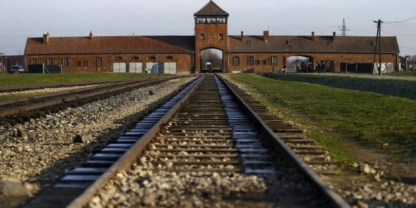 Holocaust distortion more dangerous than denial, warns departing IHRA chief Kathrin Meyer