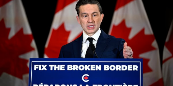 Amy Hamm: The therapeutic effect of Pierre Poilievre