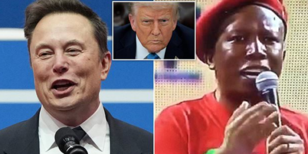 Elon Musk blasts ‘genocidal lunatic’ South African political figures and condemns country’s ‘openly racist’ policies as Trump cuts aid for ‘racial discrimination’ against white Afrikaners