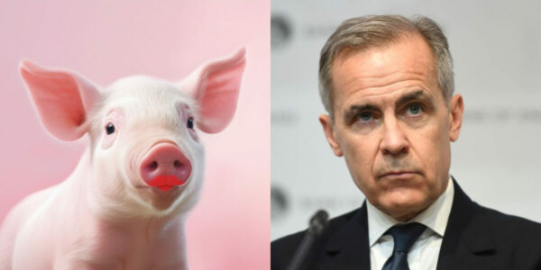Putting lipstick on a pig – Mark Carney’s proposed climate plan