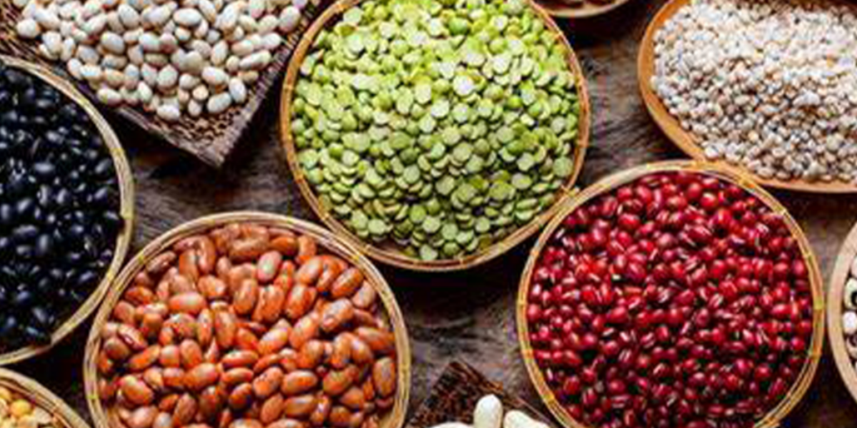 Trudeau Liberals spent millions on ‘climate friendly’ beans abroad