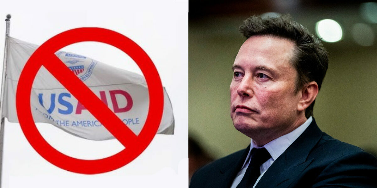 The Musk-eteers Reveal You’ve Been Living in a Simulated Reality