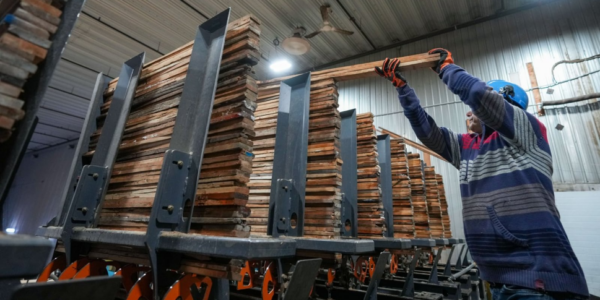 Canadian economy lost 33,000 jobs in March, biggest loss since 2022