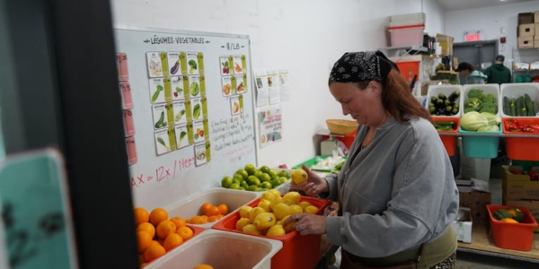 Rising demand at food banks seen as ‘canary in the coal mine’ for affordability crisis