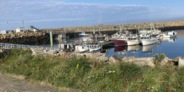 Terror, violence and organized crime: Inside the lawless East Coast fishery