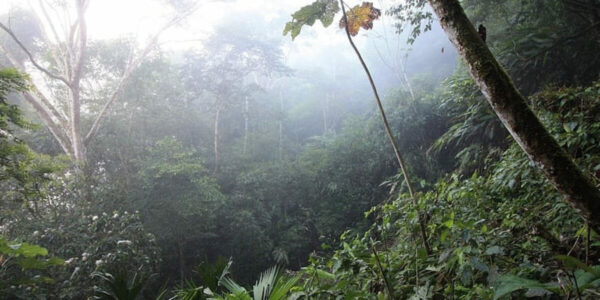 STIRLING: The real reason no pipelines will get built… it’s about carbon trading