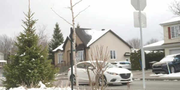 Residents decry green policy coercion in Saint-Amable: ‘Unfair and abusive’