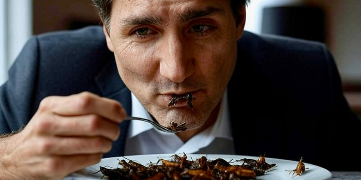 BUG OFF: Canada’s biggest insect protein plant squished despite millions in taxpayer cash