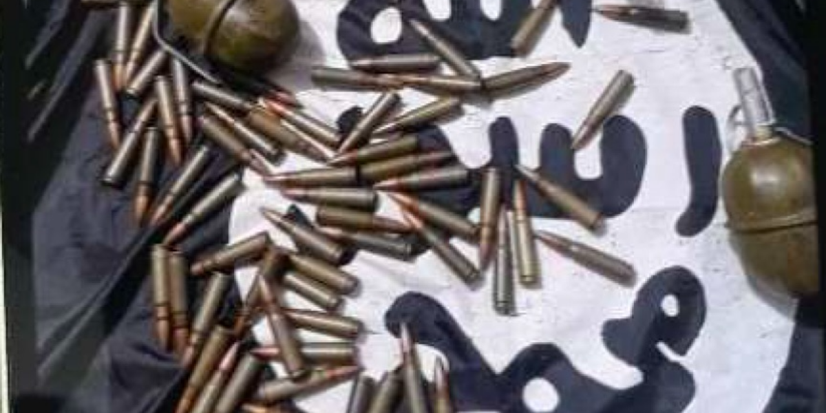 Toronto ISIS financier pleads guilty