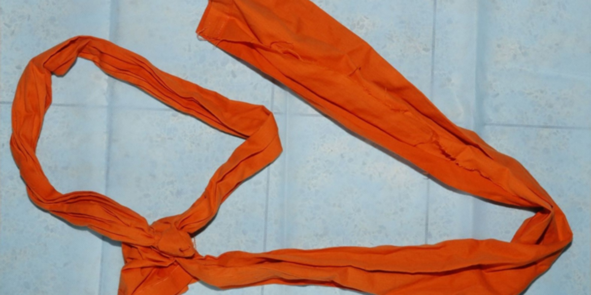 Epstein was alone in cell before death, footage coming: Bongino