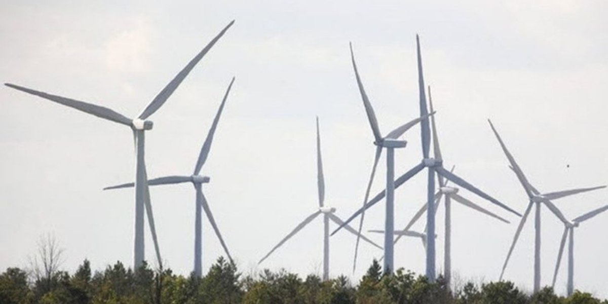 GOLDSTEIN: The hazards of becoming a ‘green energy superpower’