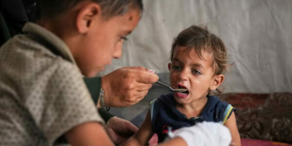 UN says 14,000 babies could die in Gaza in next 48 hours under Israeli aid blockade