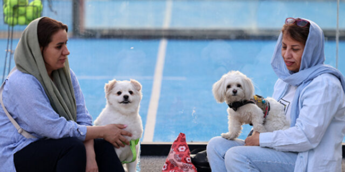 Iran Expands Ban on Walking Dogs as ‘Threat to Public Health, Peace, and Comfort’