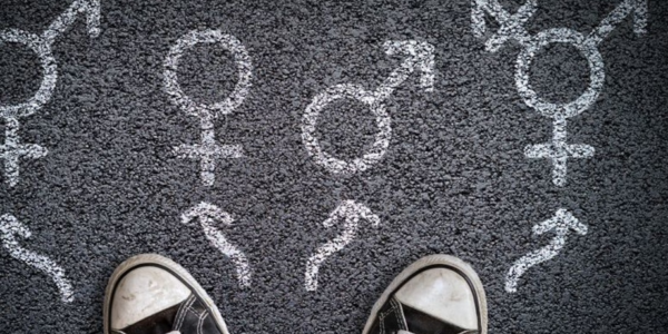 Dr. J. Edward Les: The Canadian Medical Association’s inexplicable stance on pediatric gender medicine