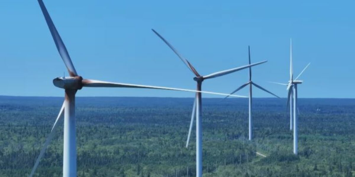 Some N.L. hydrogen companies behind in bills as industry hype ‘boils off’