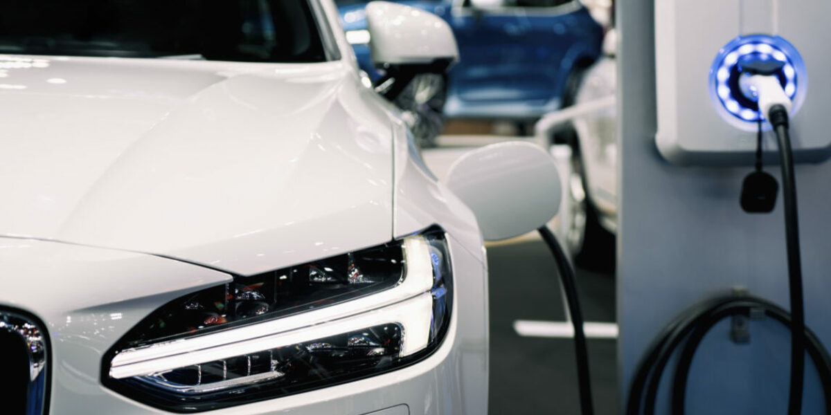 Electric Vehicle sales tank without government handouts