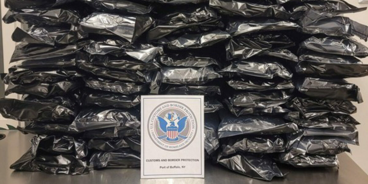 U.S. man drives into Canada by mistake, gets busted with 78 pounds of pot on the way back